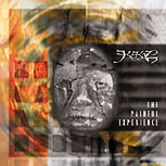 The Painful Experience album cover